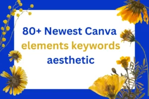 Read more about the article 80+ Newest Canva elements keywords aesthetic